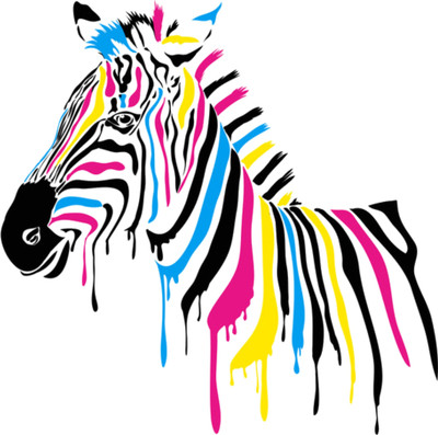 wildartcreation 59 cm Beautiful decorative wall pop art zebra multicolor decorative wall sticker for Self Adhesive Sticker(Pack of 1)