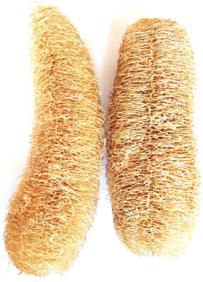 DINDRA Loofah(Pack of 2, Brown)