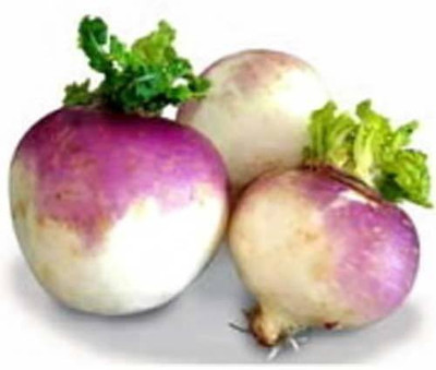 LYRS Top Quality All Season Turnip Seed 70 SEED Seed(70 per packet)