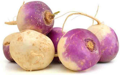 LYRS White Turnip Seed 45 SEED Seed(45 per packet)