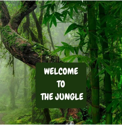 Welcome to the Jungle(English, Paperback, Boghi Vatam)