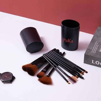 Puka Makeup Brushes for Foundation Eyeshadow Eyebrow Eyeliner Blush Powder Concealer Contour(Pack of 12)