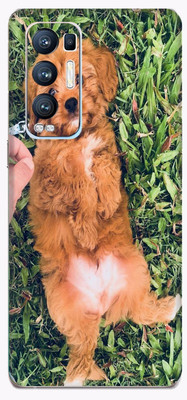 Toppings Oppo Reno5 Pro+ 5G Mobile Skin(Multicolor)