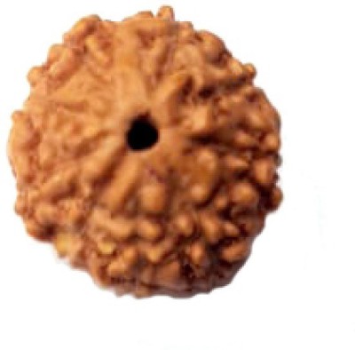 Shiv Kripa Rudraksha Kendra Wood