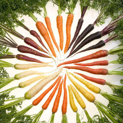 VNR Fresh Vnr Red Carrot Vegetable Hybrid Seed(100 per packet)
