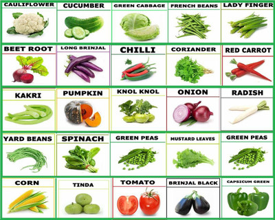 Greenery Hub 25 variety vegetable seeds combo pack with instruction manual Seed(25 per packet)