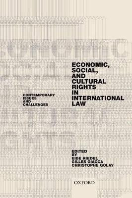 Economic, Social, and Cultural Rights in International Law(English, Paperback, unknown)