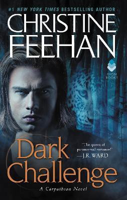Dark Challenge(English, Paperback, Feehan Christine)