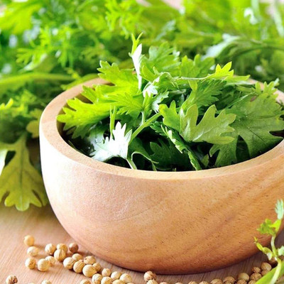 KANAYA dhaniya Seed(20 per packet)