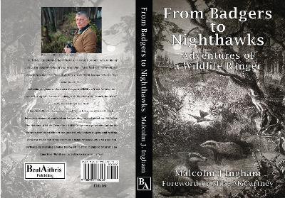 From Badgers to Nighthawks 2019(English, Paperback, unknown)