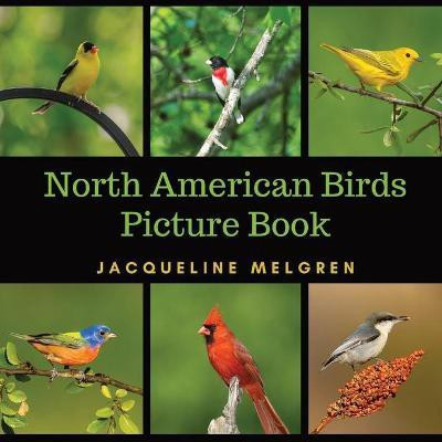 North American Birds Picture Book(English, Paperback, Melgren Jacqueline)