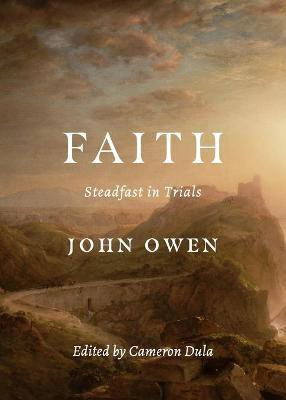 Faith(English, Paperback, Owen John)