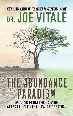 The Abundance Paradigm(English, Hardcover, Vitale Joe)