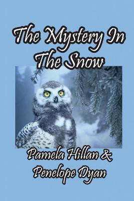 The Mystery In The Snow(English, Paperback, Hillan Pamela)