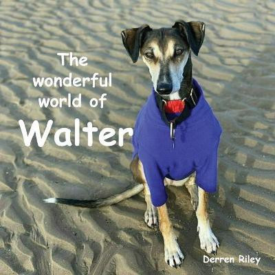 The wonderful world of Walter(English, Paperback, Riley Derren)
