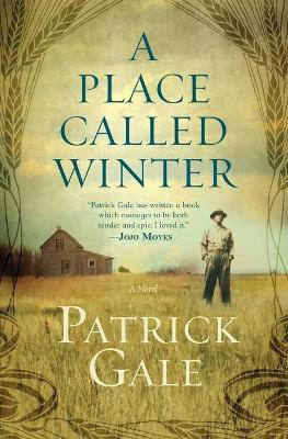 A Place Called Winter(English, Paperback, Gale Patrick)