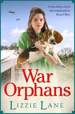 War Orphans(English, Paperback, Lane Lizzie)