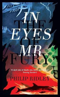 In the Eyes of Mr Fury(English, Paperback, Ridley Philip)