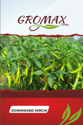 Gromax India Downward Mirchi Seed(40 per packet)