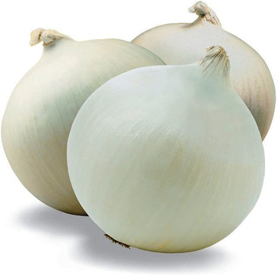 DRoz White Onion Vegetables Seeds Seed(100 per packet)