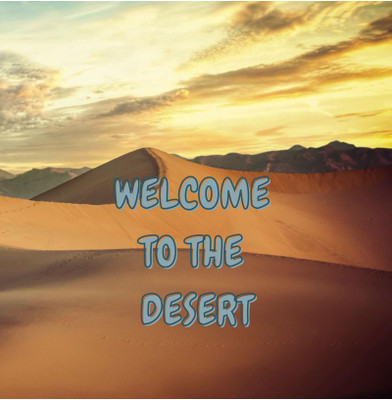 Welcome to the DESERT(English, Paperback, Boghi Vatam)