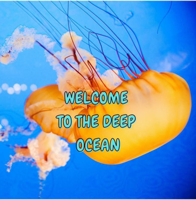 Welcome to the Deep Ocean(English, Paperback, Boghi Vatam)