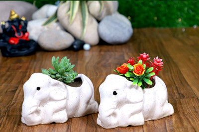 Jimkia Ceramic Hancrafted Succulent Planter Pot Plant Container Set(Pack of 2, Ceramic)