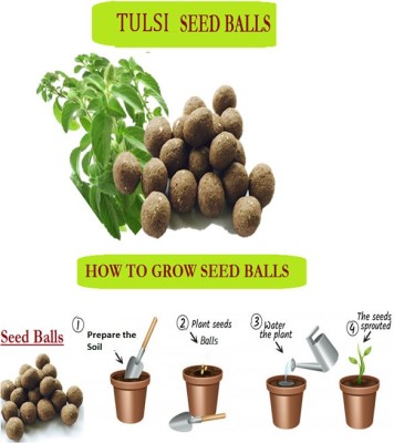 MGBN EASY GROW SEEDBALLS-GROWABLE SEED BALLS OF TULSI(HOLY BASIL/OCIMUM SANCTUM)(1 GIFT FANCY POTLI BAG PACK OF 10 SEED BALLS) WITH RED AND GREEN AMARANTHUS SEEDS Seed(10 per packet)