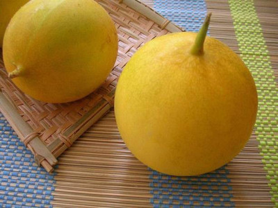 Aro Yellow Round, Cucumber Seed(150 per packet)