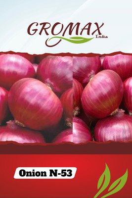 Gromax India Onion N-53, 40 seeds per packets Seed(40 per packet)