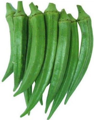 Chalisa Agencies Lady Finger, Okra, Bhindi Seed(122 per packet)