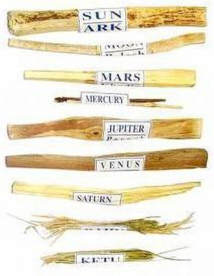 Proton - Navgrah Shanti Samidha Stick, Navgrah Havan Samidha Wood Sticks for Fire Rituals, 9 Different Wood Sticks - Related to 9 Planets, Vastu Pooja (6 Inches Sticks)