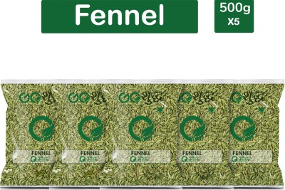 Goshudh Premium Quality Saunf (Fennel Seeds)-500gm (Pack Of 5)(5 x 500 g)