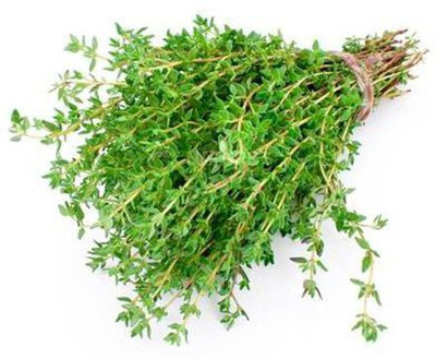 Gromax India Thyme Seeds With Free Try Me Seeds Pack Seed(40 per packet)
