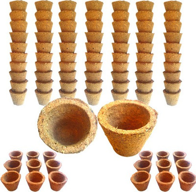 Gaumayam Empty Cowdung Cups Sambrani/Loban/Guggal/Camphor/Hawan samagri mega natural herbs(90 Units, Set of 1)