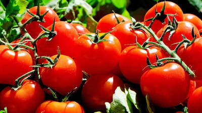 VNR VNR Fresh Tamato Vegetable Hybrid Seed(50 per packet)