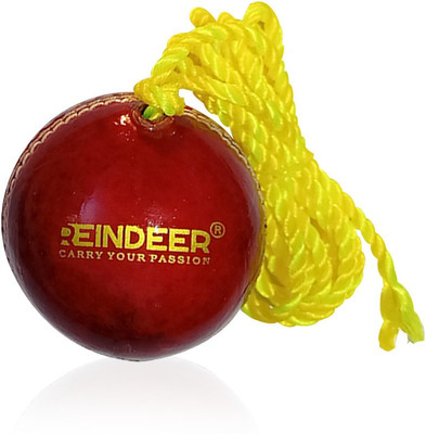 HACKERX Leather Hanging Cricket ball pack of 1 Cricket Training Ball(Standard, Pack of 1)