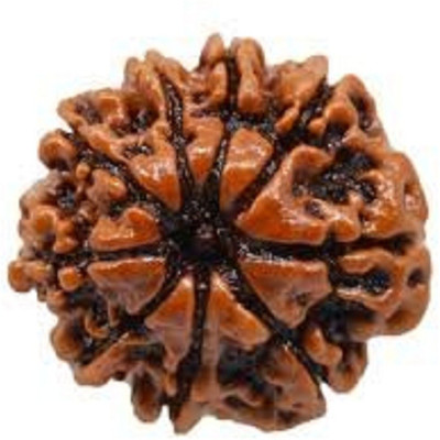 Just Devotional Nine Mukhi Faced Rudraksha Positive Effect Unisex Both for Men & Women Wood