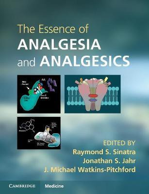 The Essence of Analgesia and Analgesics(English, Paperback, unknown)
