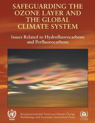 Safeguarding the Ozone Layer and the Global Climate System(English, Paperback, unknown)
