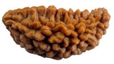 Durga gems 1 Mukhi Rudraksha Natural Lab Certified (Ek Mukhi Rudraksha Silk Dori Pendant