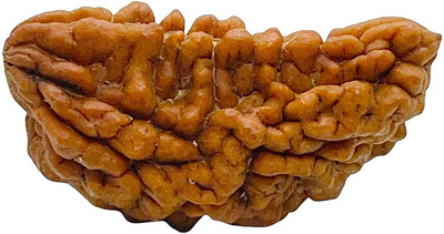 A & S VENTURES A&S Ventures1 Mukhi Rudraksha Natural Lab Certified (Ek Mukhi Rudraksha Silk Dori Pendant Wood Pendant