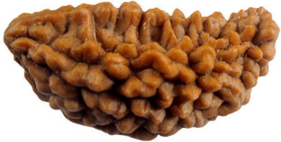 Durga gems 1 Mukhi Rudraksha Natural Lab Certified (Ek Mukhi Rudraksha Silk Dori Pendant