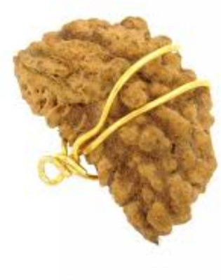 AJ Genuine One Face Ek Mukhi Rudraksha Pendant Sead Silk Dori Pendant