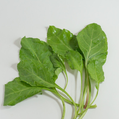 FRESHO Fresh VNR Green Palak Vegetable Hybrid Seed(2000 per packet)