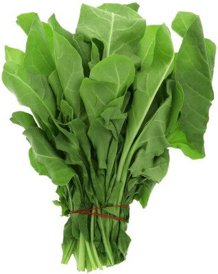 Qualtivate Fresh Green Spinach (Palak) Vegetable Hybrid Quality Seed(25 per packet)