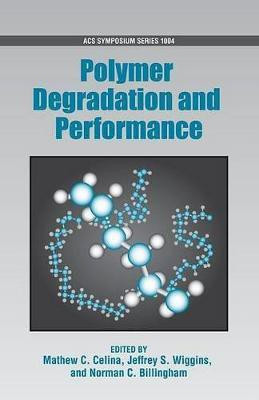 Polymer Degradation and Performance(English, Hardcover, unknown)