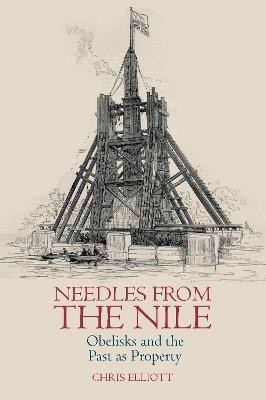 Needles from the Nile(English, Hardcover, Elliott Chris)