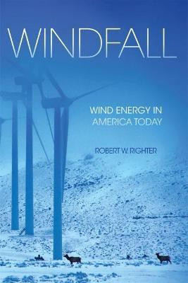 Windfall(English, Paperback, Righter Robert W.)