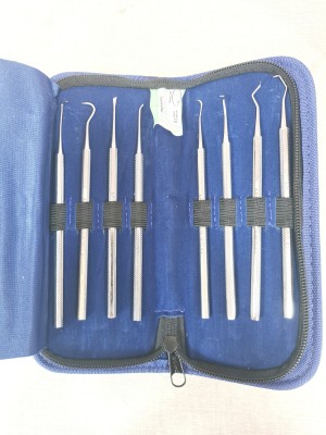 API Dental Hand Kits (Perio Scalers D/E) Dental Elevator